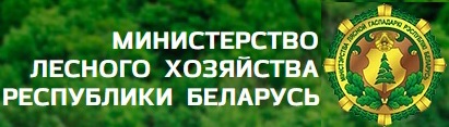 Министерство лесного хозяйства Республики Беларусь