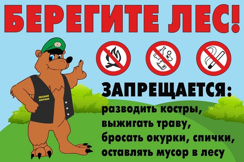 AFNzTPzsFkA копия
