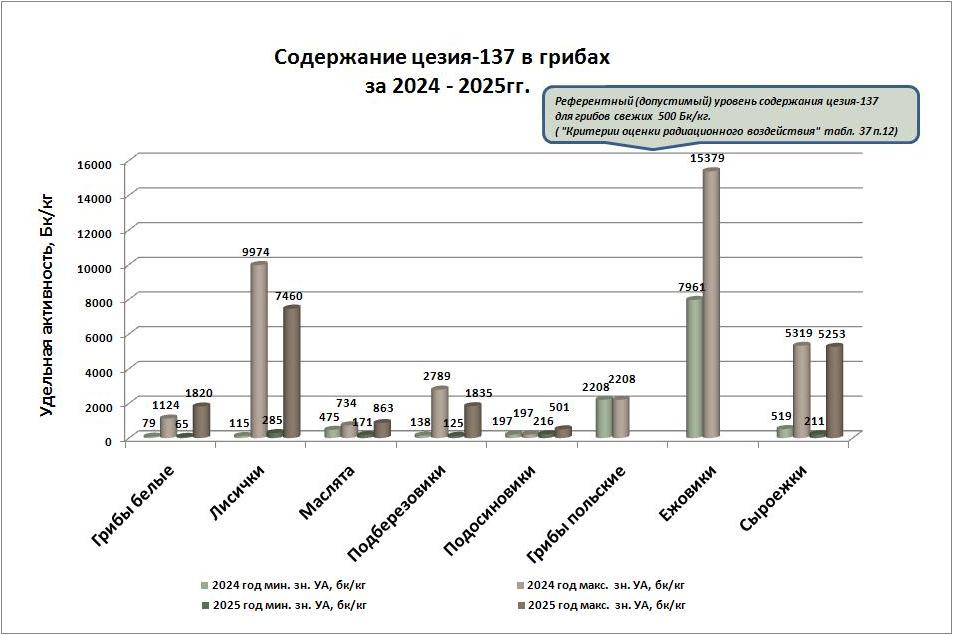 грибы октябрь